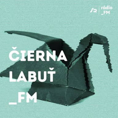 Rozlúčka s Rádiom_FM (13.1.2025 15:10)