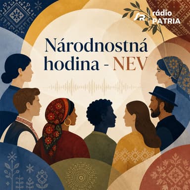 Národnostná hodina - NEV (8.11.2024 18:00)