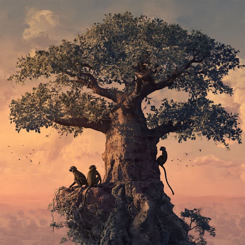 Operácia Baobab